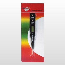 TESTE DIGITAL INTERNEED